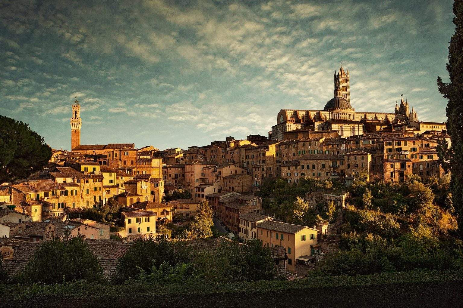 siena