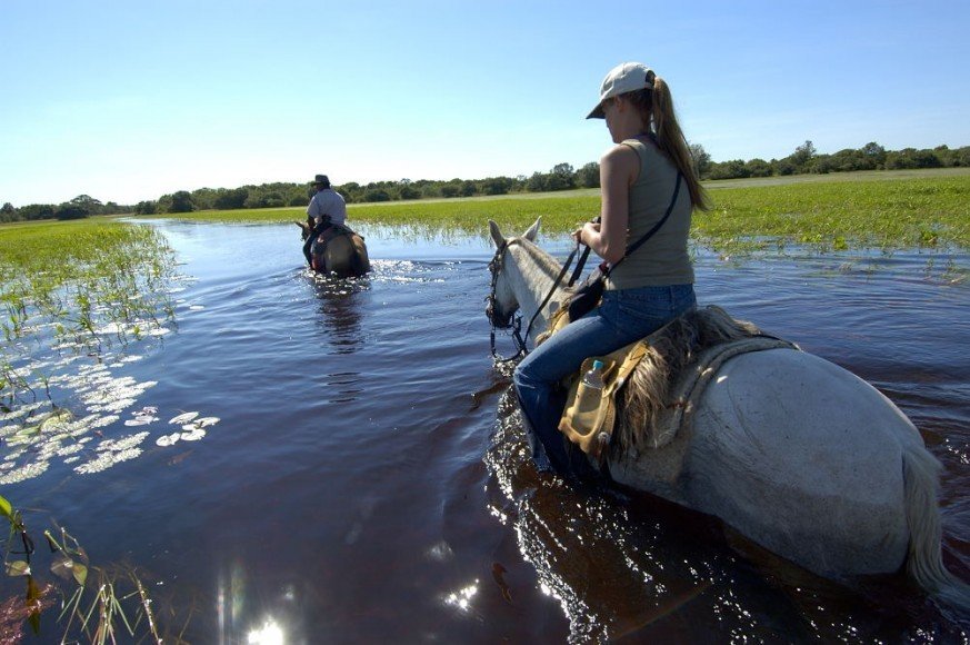 pantanal