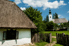 zselic