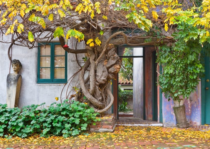 shutterstock_46613392
