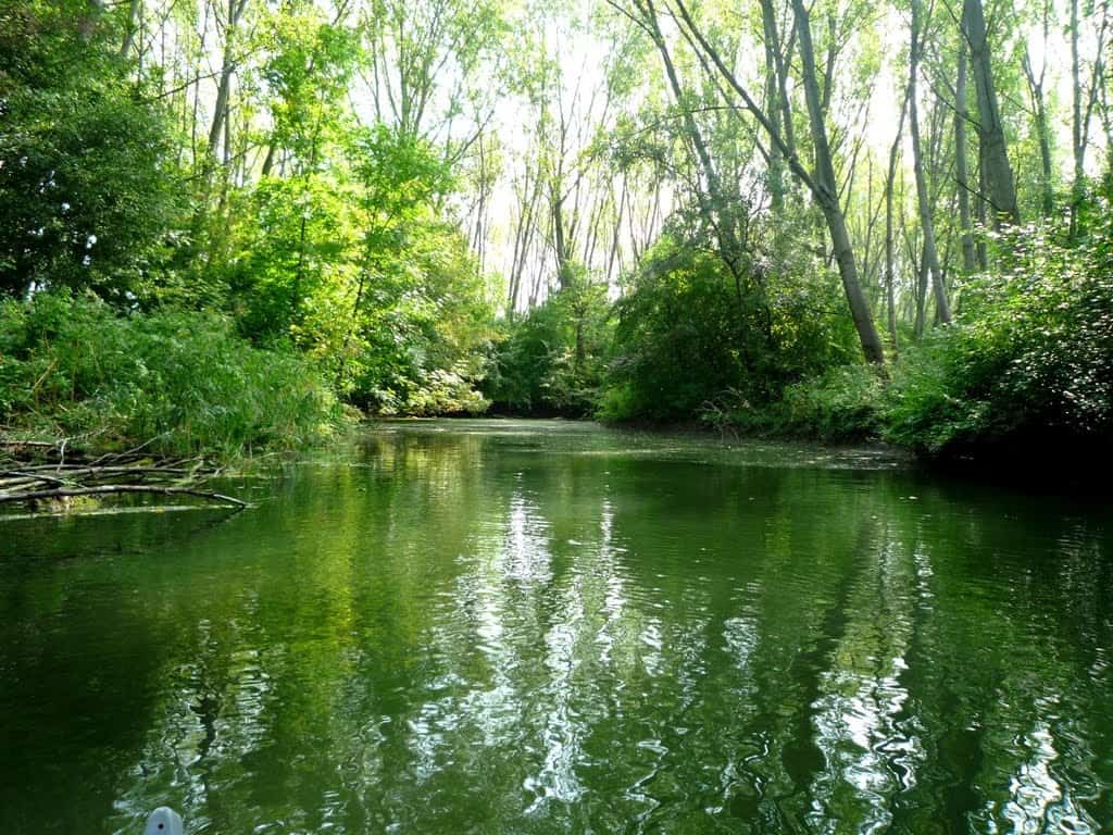 Cikolai mellékágrendszer - Panoramio.com/Csinos