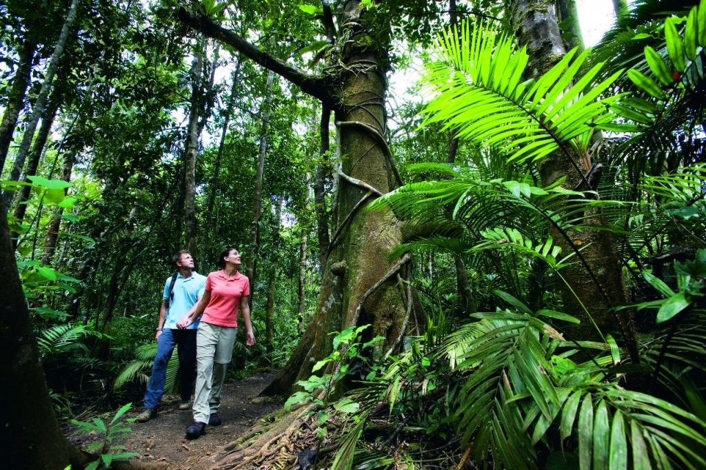Daintree esőerdő, Ausztrália