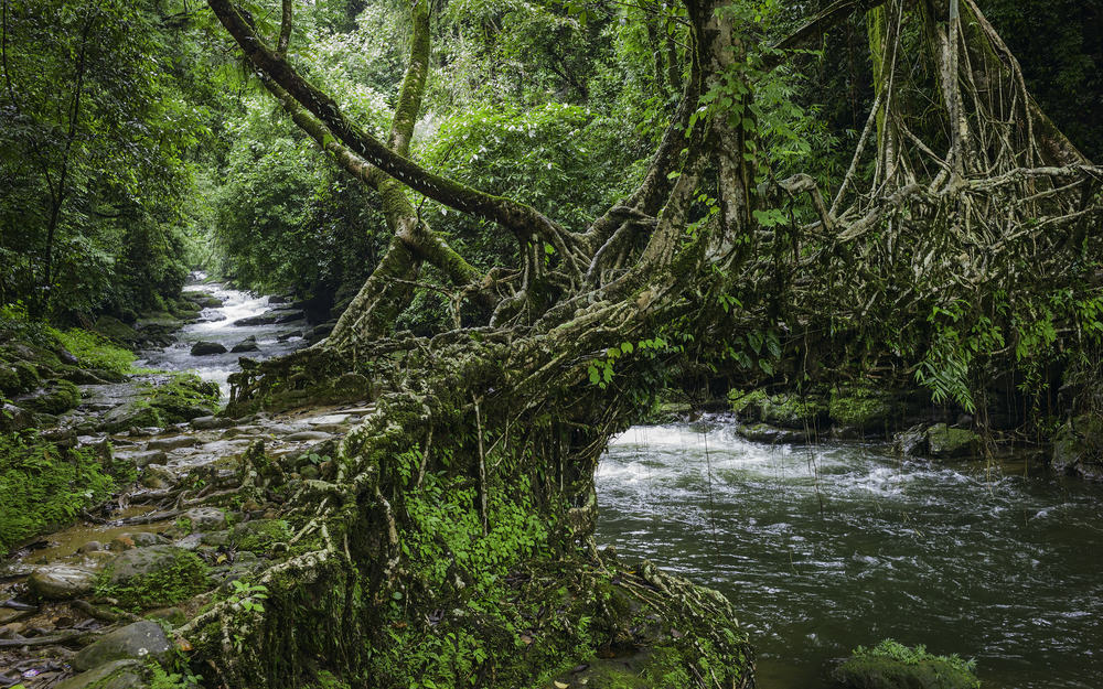 shutterstock_347768486