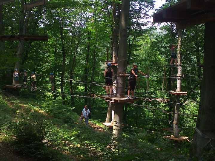Erdőmélyi pályán - bakonyikalandpark.hu