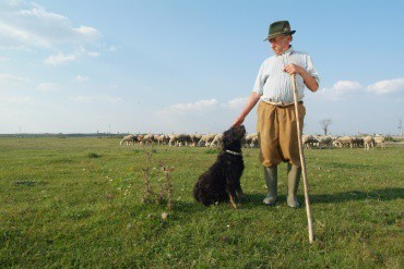 kép