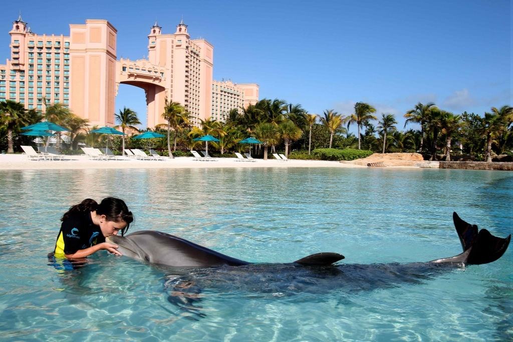 girl-kissing-dolphin-in-water