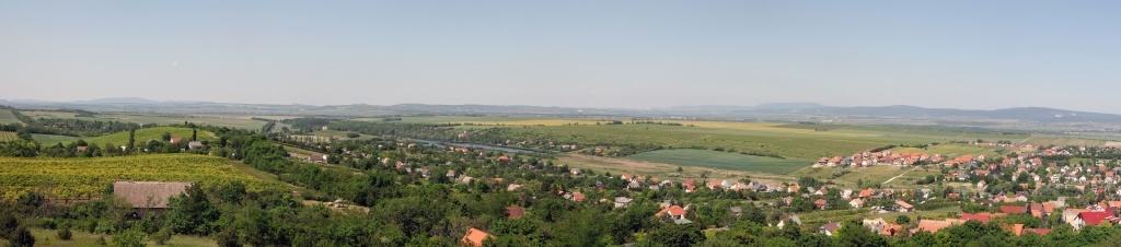 Etyek-budai borvidék