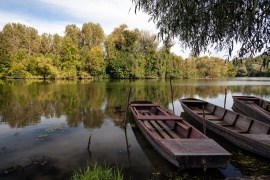 tisza