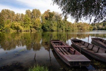 tisza