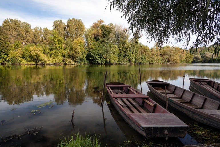 tisza