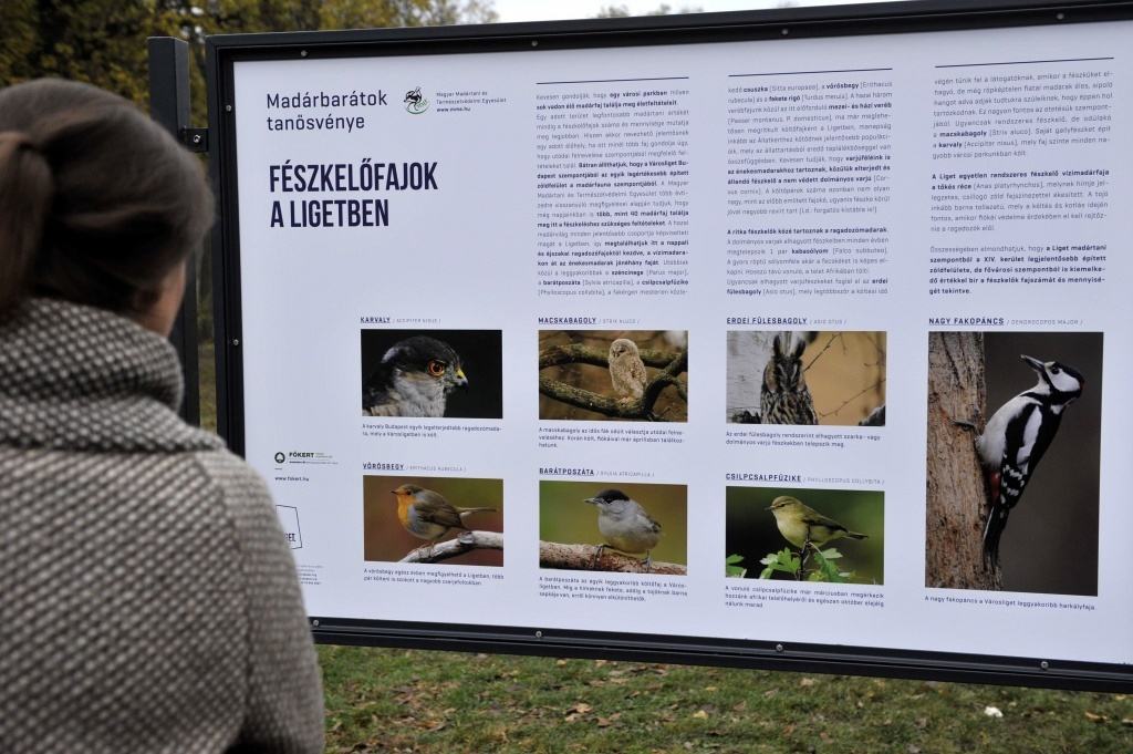 Tájékoztató tábla a városligeti mintakertben - Kovács Attila/MTI