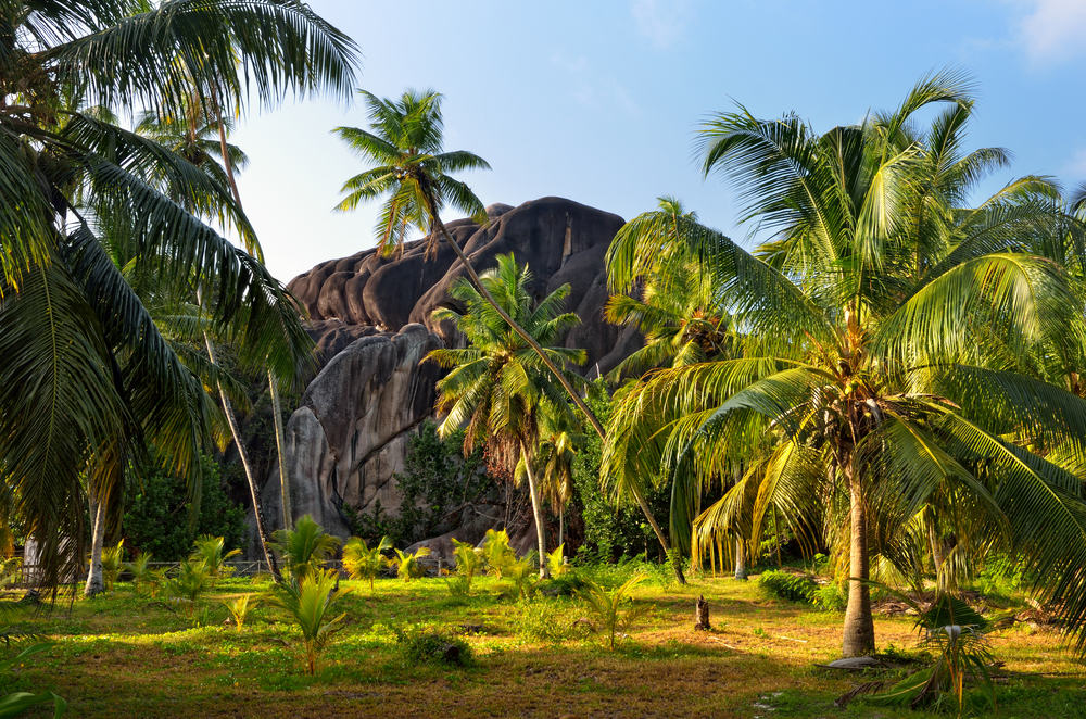 shutterstock_106846274