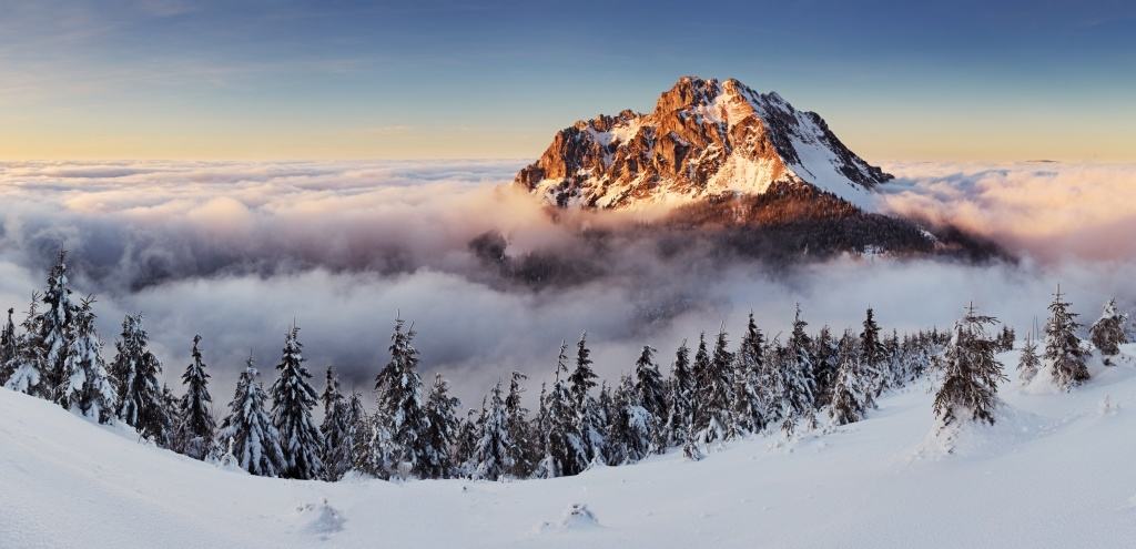 shutterstock_113965084