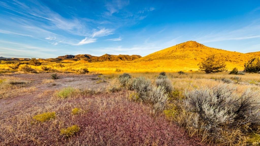 John Day Fossil Beds Nemzeti Park