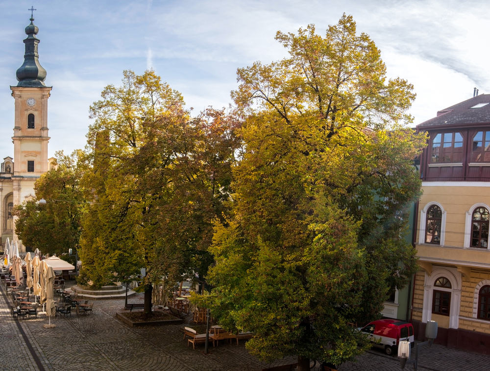 Kolozsvár
