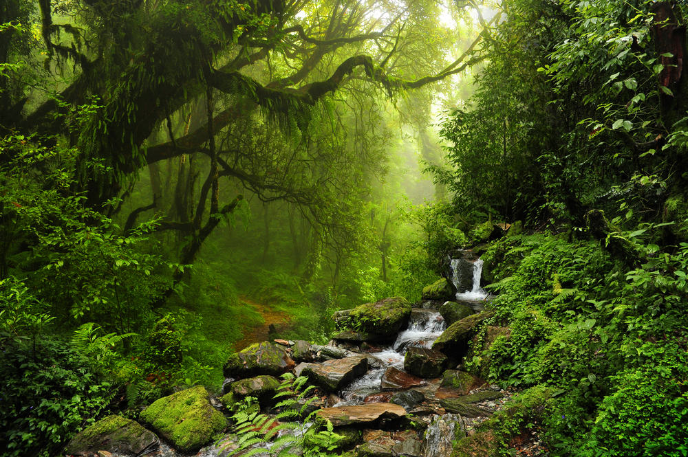 shutterstock_218101447