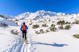 táta