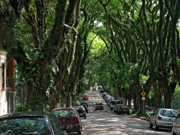 rue