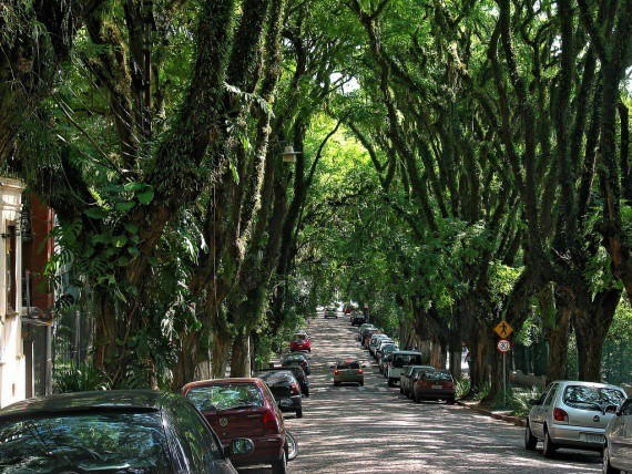 rue