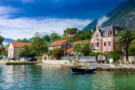 kotor