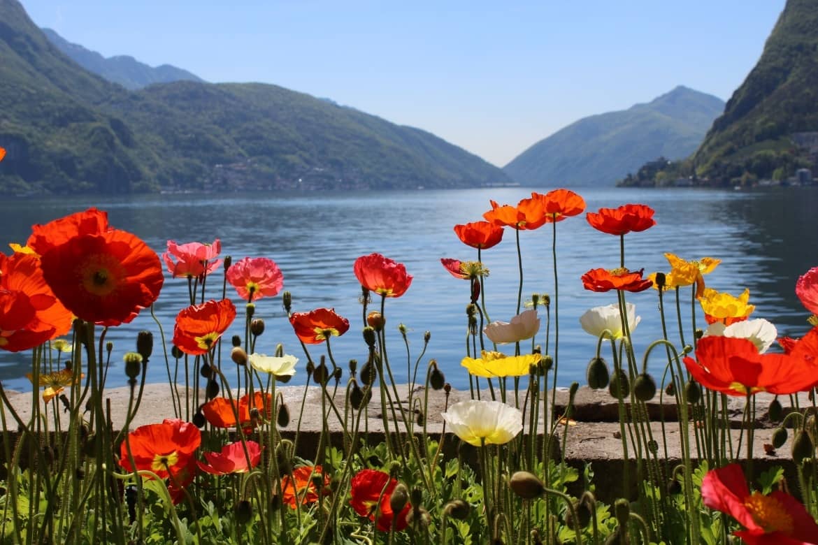 lago