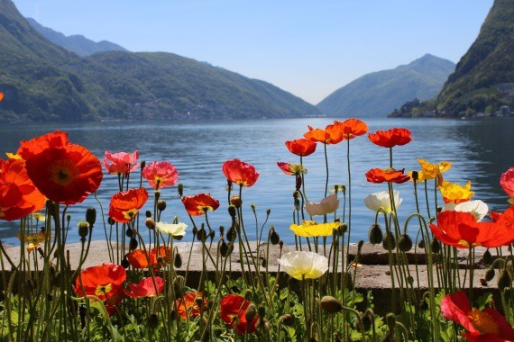 lago