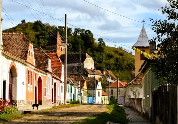 erdi
