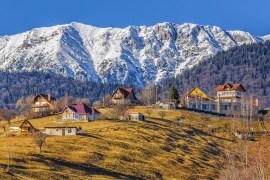 királybi