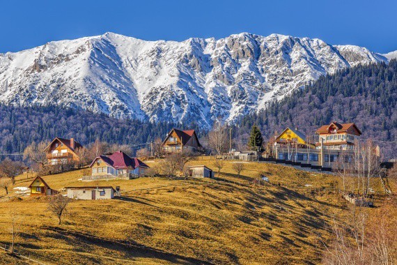 királybi