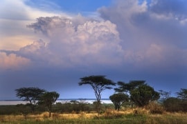 uganda