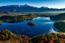 bled