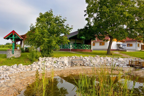 pató