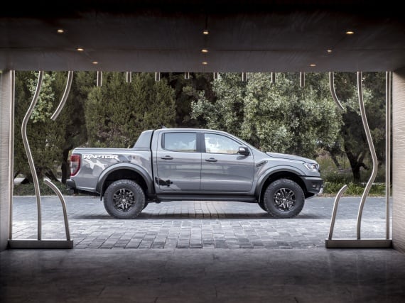 raptor