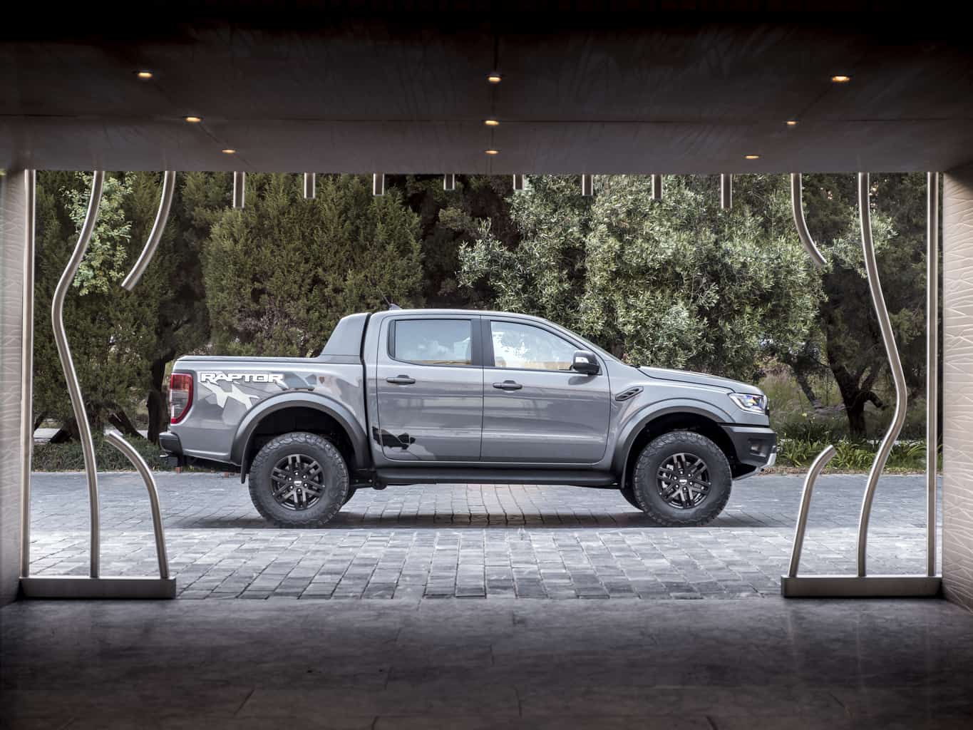 raptor