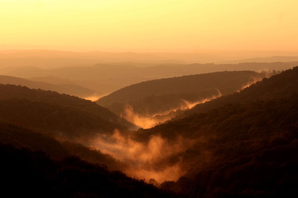 Fotók: pixabay, shutterstock