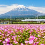 b853a3f8-6db1-4dcd-a71d-a8b03edc167e